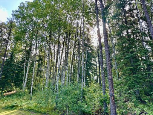Photo for 21761 Bemis Hill Forest Road, Salol, MN 56756 - Listing #6752701 21761 Bemis Hill Forest Road, Salol, MN 56756