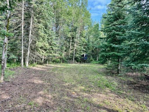 Photo for 21761 Bemis Hill Forest Road, Salol, MN 56756 - Listing #6752701 21761 Bemis Hill Forest Road, Salol, MN 56756
