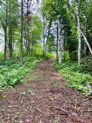 Photo for 21761 Bemis Hill Forest Road, Salol, MN 56756 - Listing #6752701 21761 Bemis Hill Forest Road, Salol, MN 56756