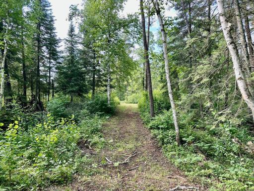 Photo for 21761 Bemis Hill Forest Road, Salol, MN 56756 - Listing #6752701 21761 Bemis Hill Forest Road, Salol, MN 56756