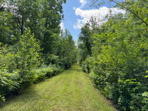 51440 Sand Creek Road, Bruno, MN 55712