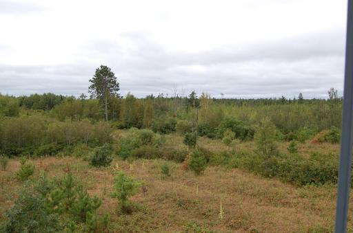 TBD Darsnek Road, Emily, MN 56447