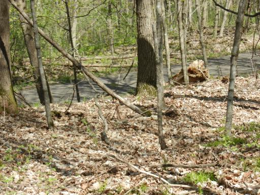 Soo line bike trail on West side of property