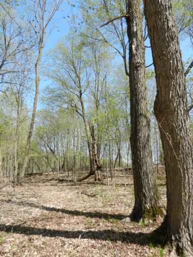 2816 120th Avenue, Bowlus, MN 56314
