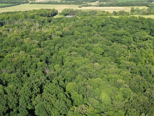 2816 120th Avenue, Bowlus, MN 56314