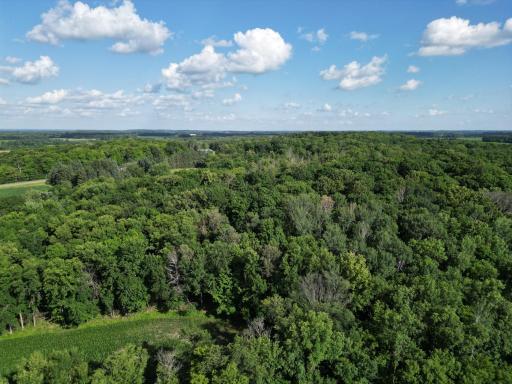 2816 120th Avenue, Bowlus, MN 56314
