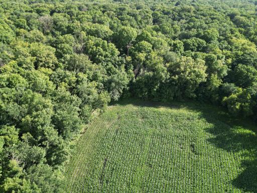 2816 120th Avenue, Bowlus, MN 56314