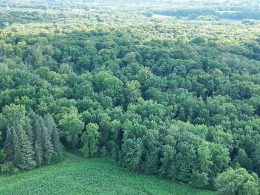 2816 120th Avenue, Bowlus, MN 56314