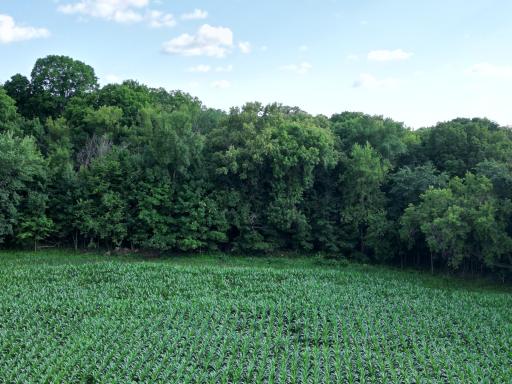 2816 120th Avenue, Bowlus, MN 56314