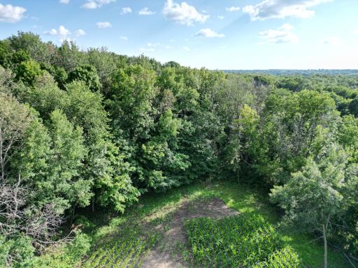 2816 120th Avenue, Bowlus, MN 56314