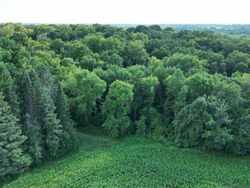 2816 120th Avenue, Bowlus, MN 56314
