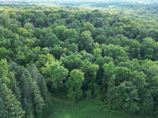 2816 120th Avenue, Bowlus, MN 56314