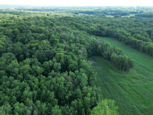 2816 120th Avenue, Bowlus, MN 56314