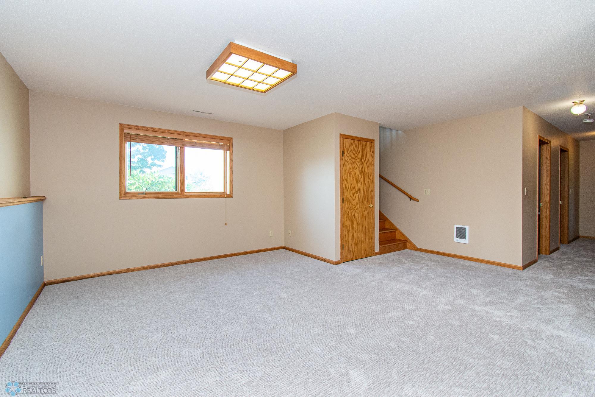 Basement Family Room
