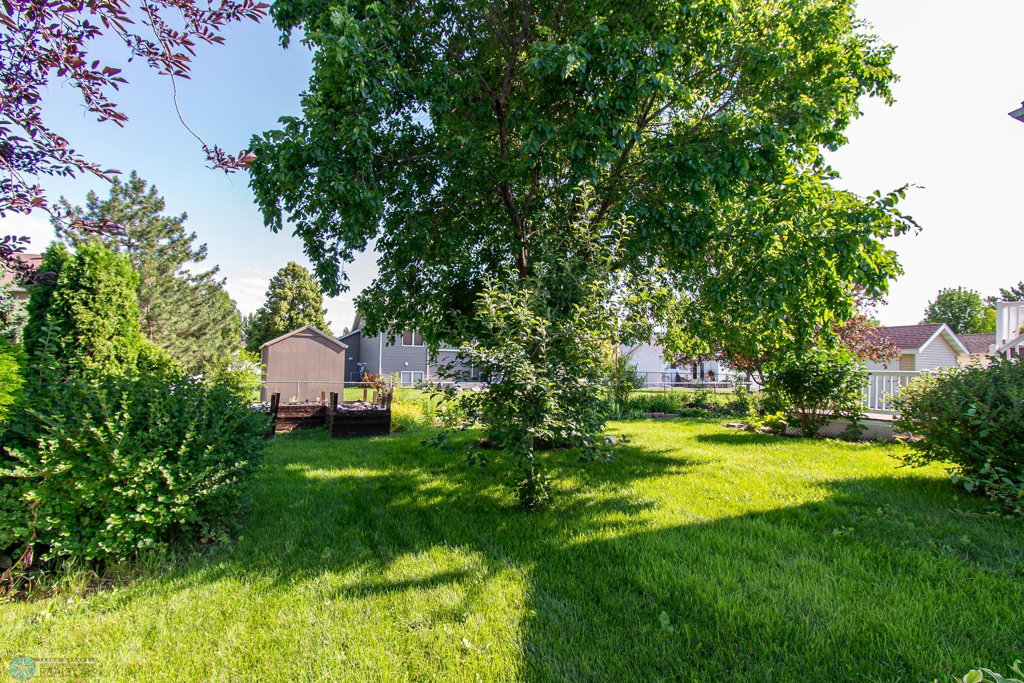 Lush Backyard