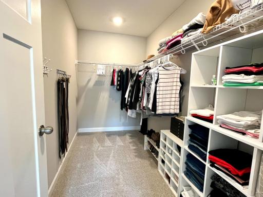 WA;LK IN CLOSET.jpeg