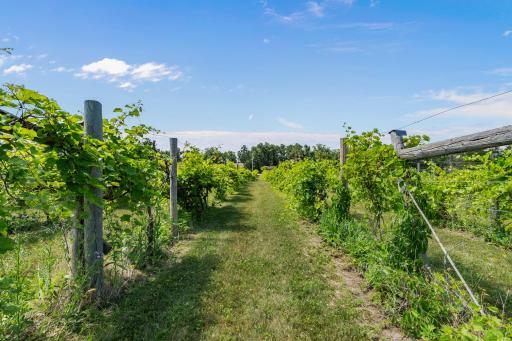 23730 Oak Lake Trail SE, Erskine, MN 56535