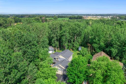 15995 Finley Avenue N, Hugo, MN 55038
