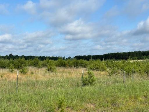 TBD 380th St, Menahga, MN 56464
