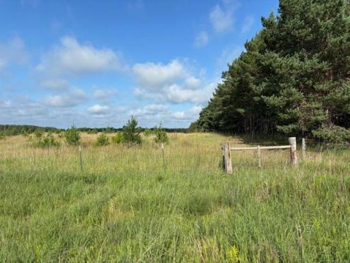 TBD 380th St, Menahga, MN 56464