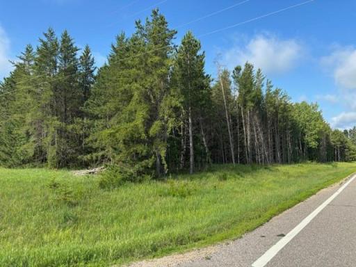 TBD 380th St, Menahga, MN 56464