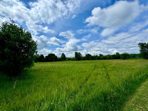 Photo for TBD 580th Avenue, Warroad, MN 56763 - Listing #6753713 TBD 580th Avenue, Warroad, MN 56763