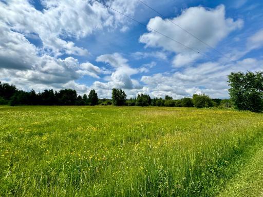TBD 580th Avenue, Warroad, MN 56763