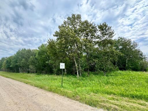 Photo for TBD 66th Avenue NW, Williams, MN 56686 - Listing #6753779 TBD 66th Avenue NW, Williams, MN 56686