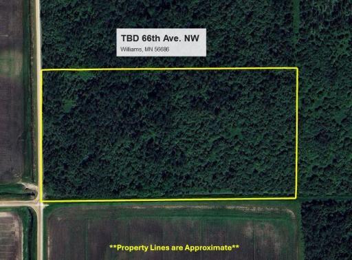 TBD 66th Avenue NW, Williams, MN 56686