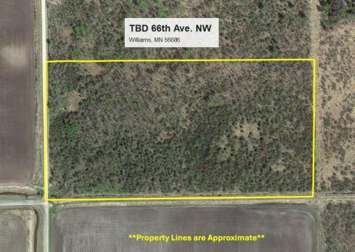 TBD 66th Avenue NW, Williams, MN 56686