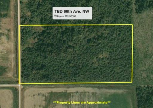 TBD 66th Avenue NW, Williams, MN 56686