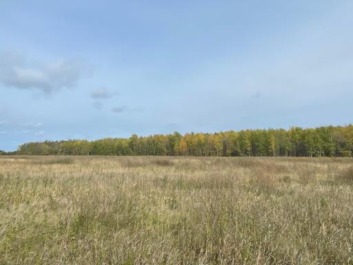 15904 Shoreline Drive NE, Waskish, MN 56685