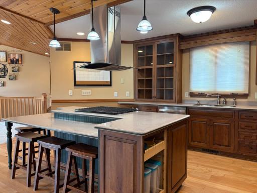 kitchen cabinetry (door being repaired and installed)