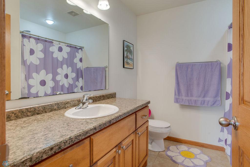 Lower level bath 3