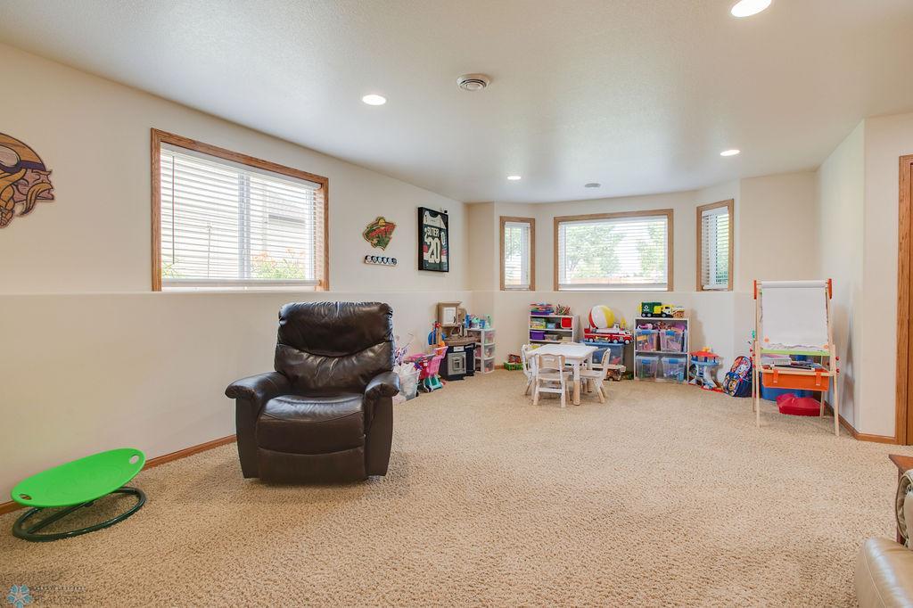 Lower level family room