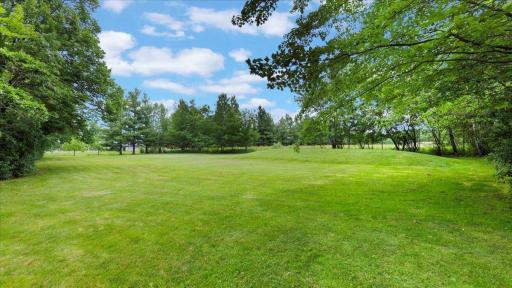 This property offers plenty of wooded space to explore.