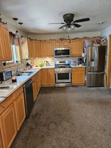 2742 State Highway 11 SE, Baudette, MN 56623