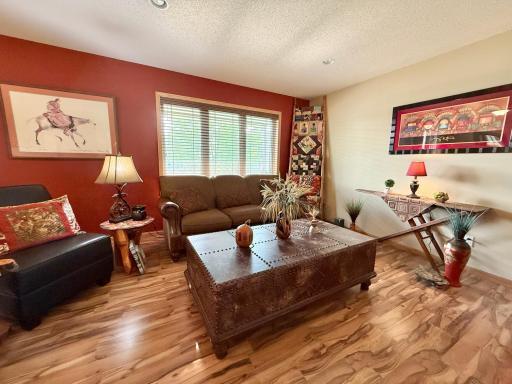 1208 Wendt Drive, Thief River Falls, MN 56701