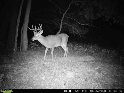 hunt your own 39 acres