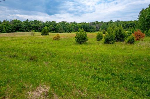Beautiful Mix of Open Meadow and Trees â 19.25Â± Acres Offering Privacy, Space, and Scenic Views.