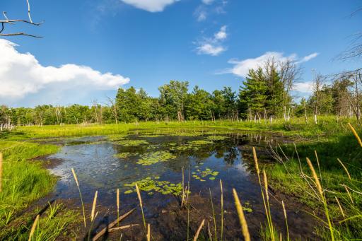 5788 County Road C, Webster, WI 54893