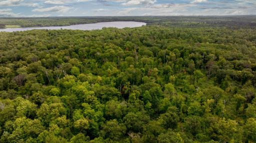 DJI_20250709023214_0022_D-Enhanced-NR.jpg