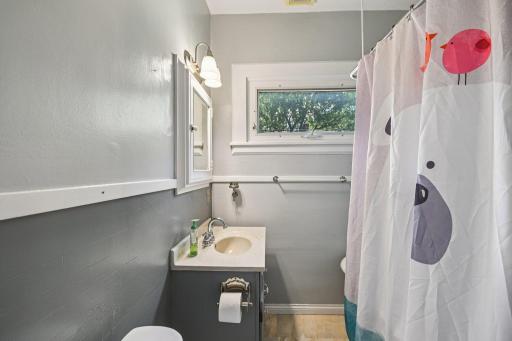 21-web-or-mls-Birch Lake Ave-S1807-021.jpg