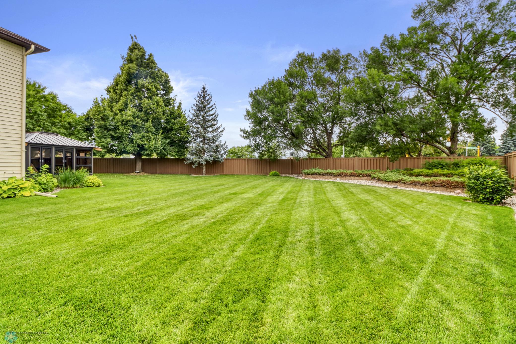 Backyard1_6.JPG