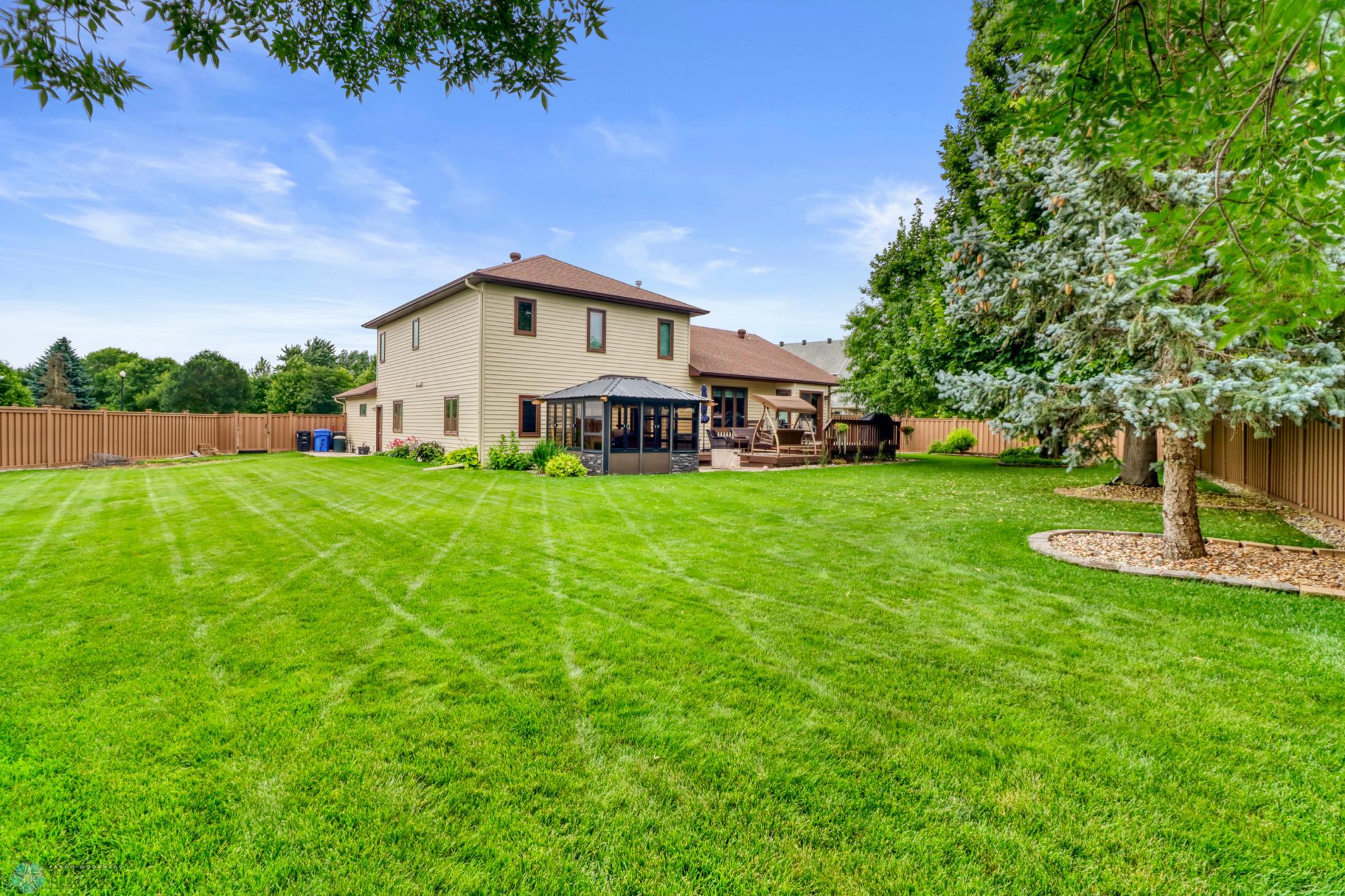 Backyard1_4.JPG