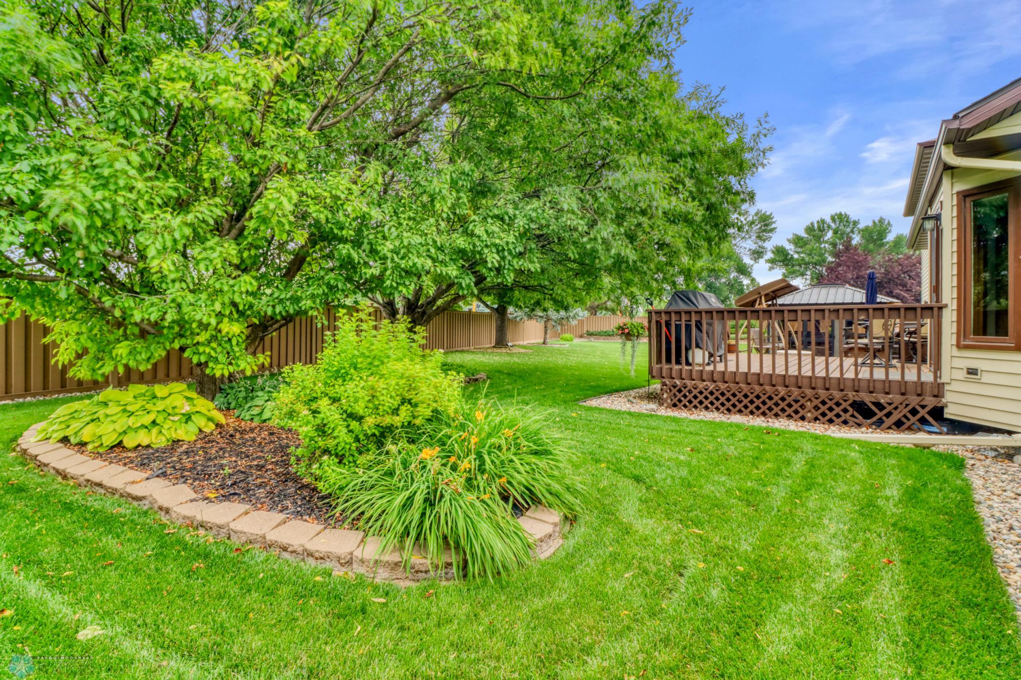 Backyard1_0.JPG