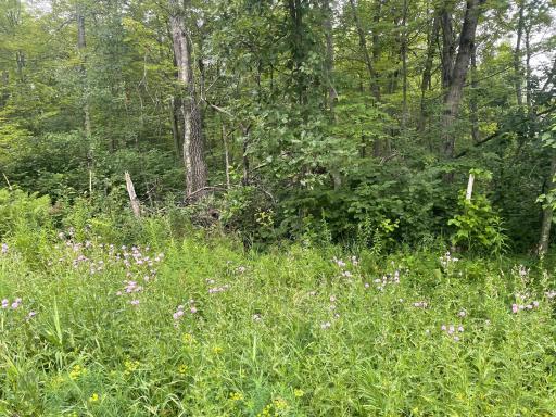 Lot 23 Winter Trl, Breezy Point, MN 56472