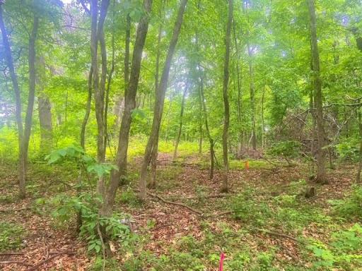 XXXXX 98th Street NW, Zimmerman, MN 55398