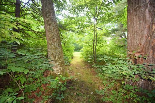 Wooded path to your very own authentic log sauna