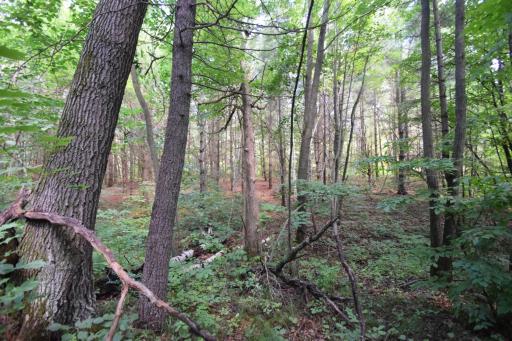 5480 County Road A, Webster, WI 54893